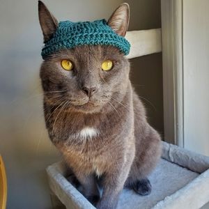 Crochet hat for cat